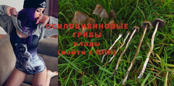 мдпв Майский