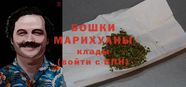 мдпв Майский
