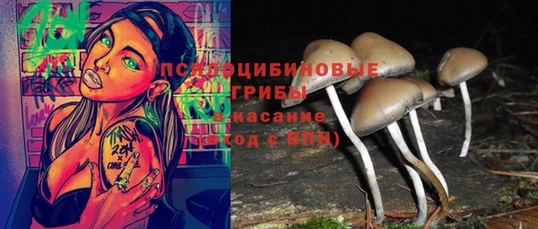 спиды Медногорск