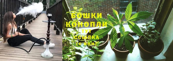 мдпв Майский