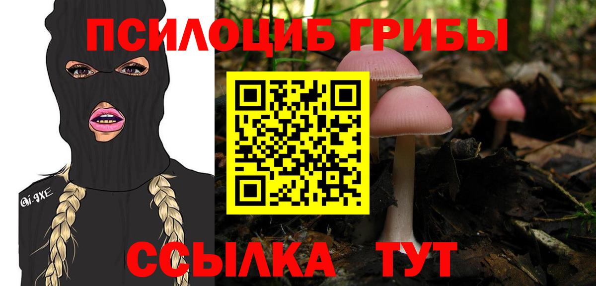 Галлюциногенные грибы Cubensis Ангарск