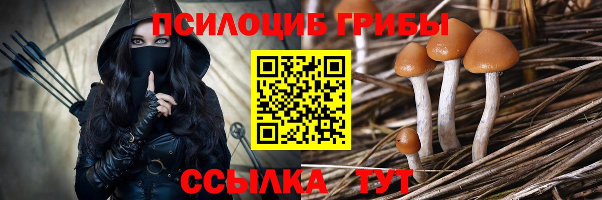 Ангарск  где купить наркотик  Псилоцибиновые грибы Psilocybine cubensis  Вход с VPN  Псилоцибиновые грибы MAGIC MUSHROOMS 